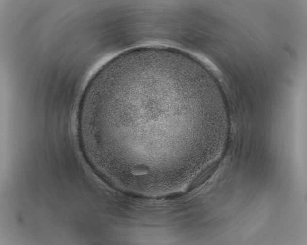 X0000113611279200909181411
