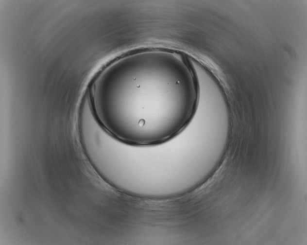 X0000113611280200909181411