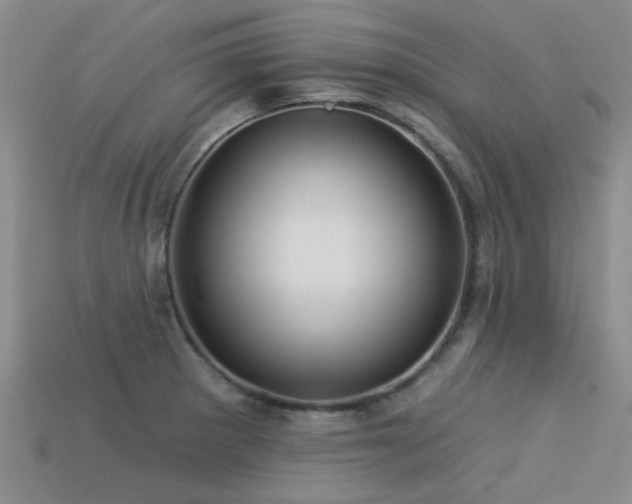 X0000113611281200909181411