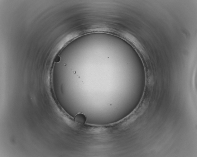 X0000113611282200909181411