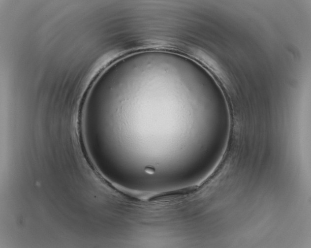 X0000113611283200909181411