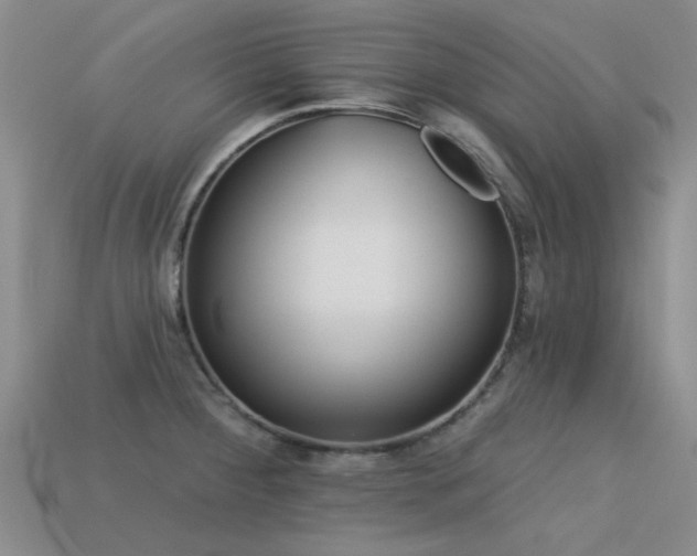 X0000113611284200909181411