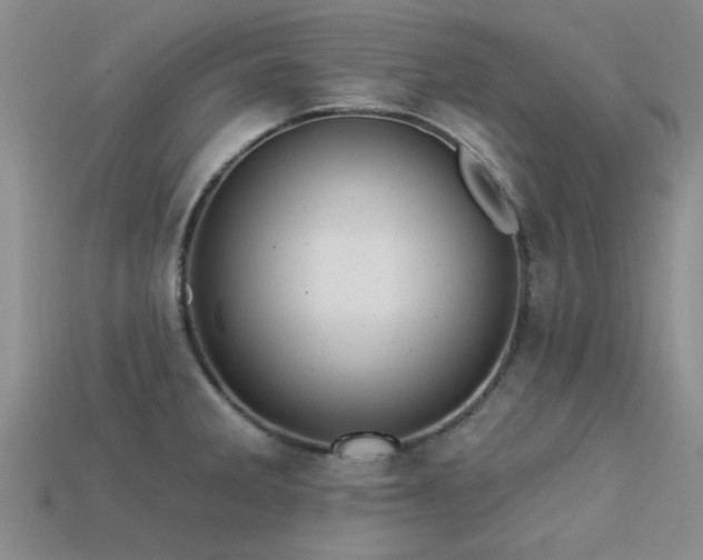 X0000113611285200909181411