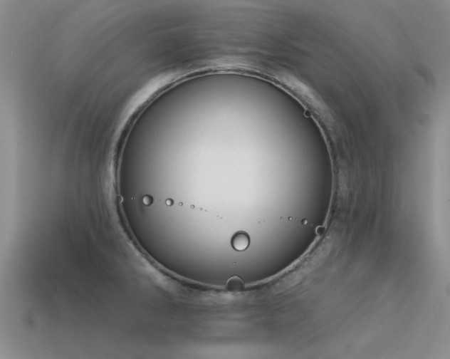 X0000113611286200909181411