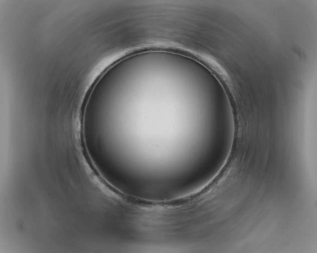 X0000113611287200909181411
