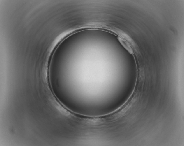 X0000113611288200909181411