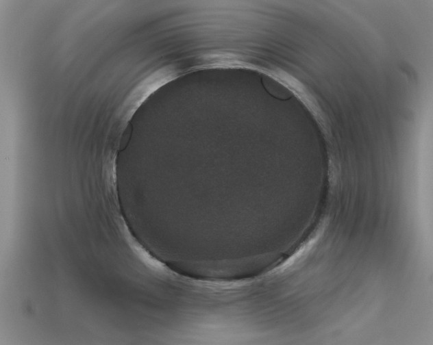 X0000113611289200909181411