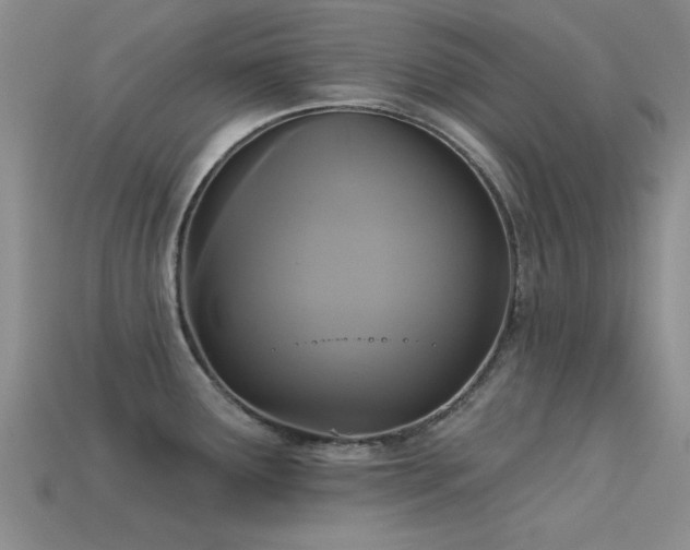 X0000113611291200909181411