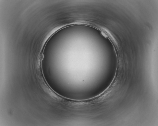 X0000113611292200909181411