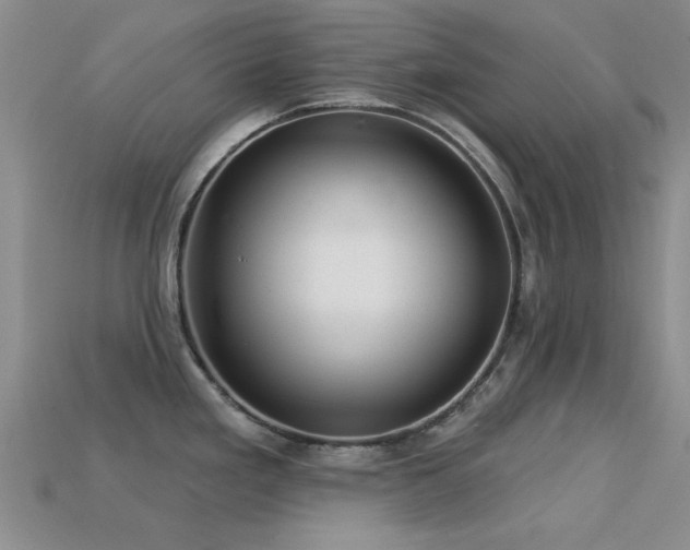 X0000113611293200909181411