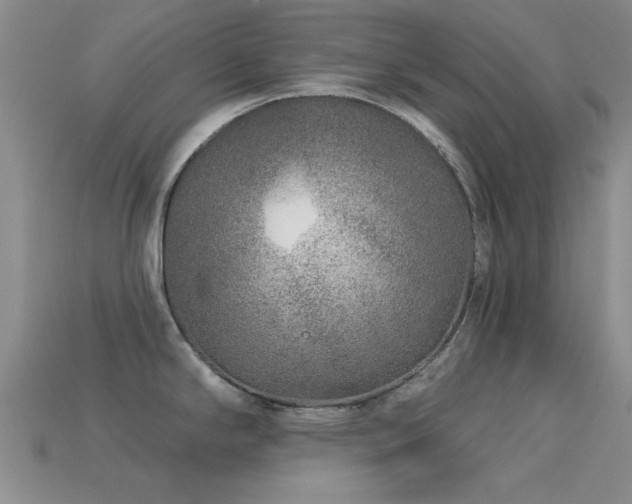X0000113611294200909181411