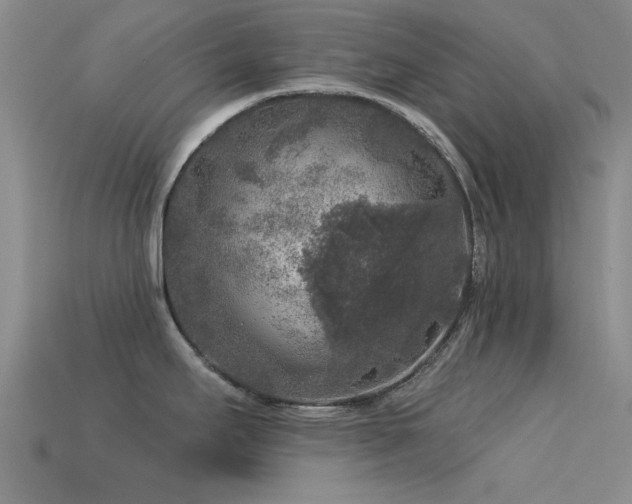 X0000113611295200909181411