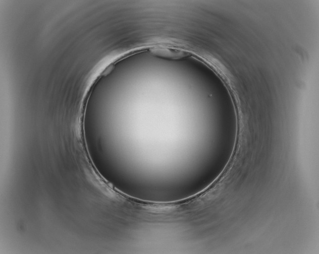 X0000113611296200909181411