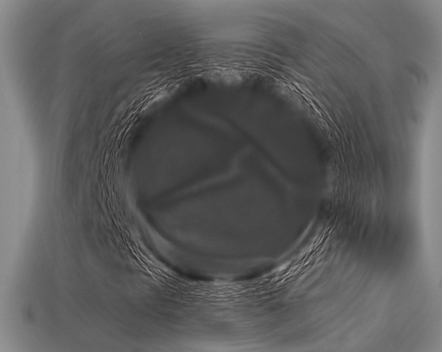 X0000113611297200909181411