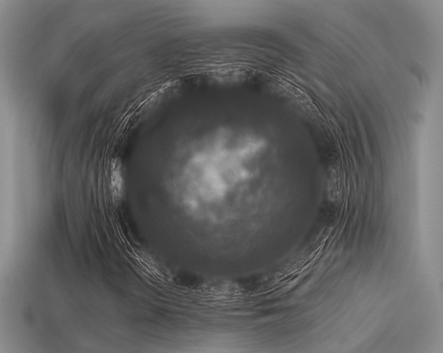 X0000113611298200909181411