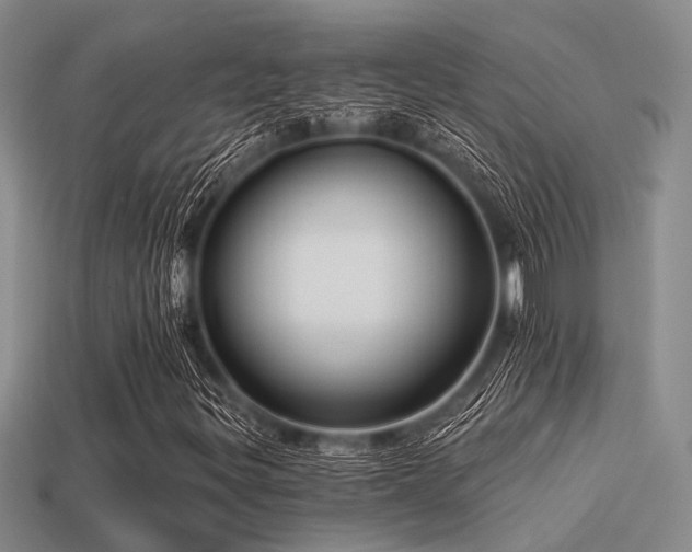 X0000113611299200909181411