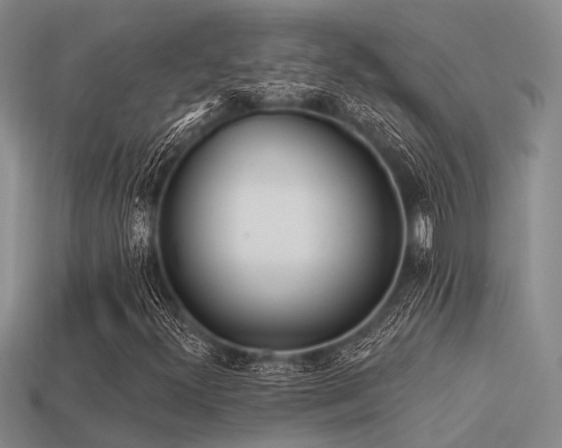 X0000113611300200909181411