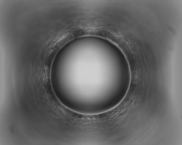 X0000113611301200909181411