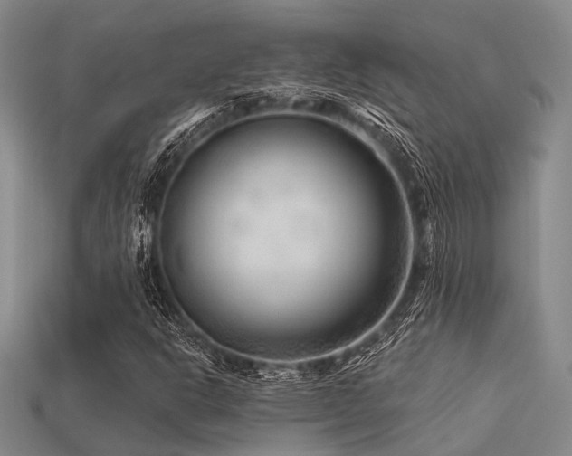 X0000113611302200909181411