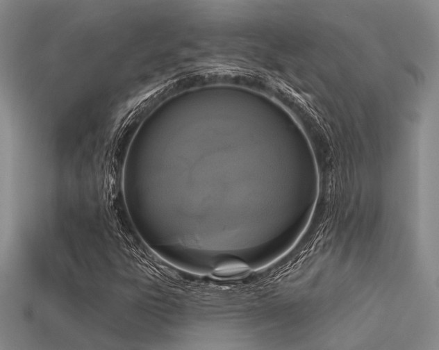 X0000113611303200909181411