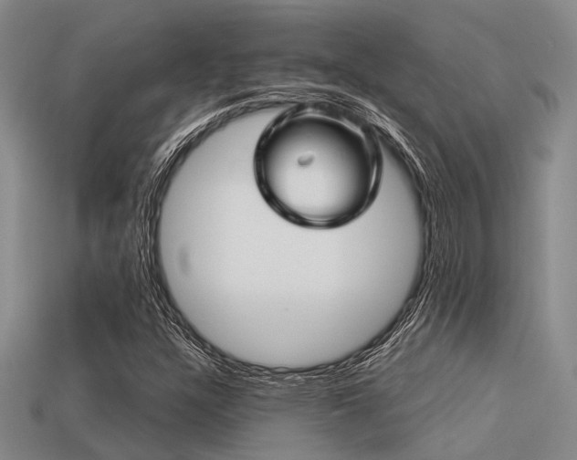 X0000113611304200909181411