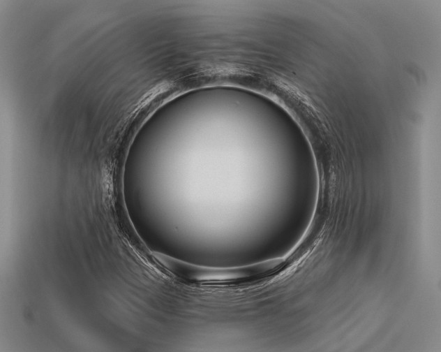 X0000113611305200909181411