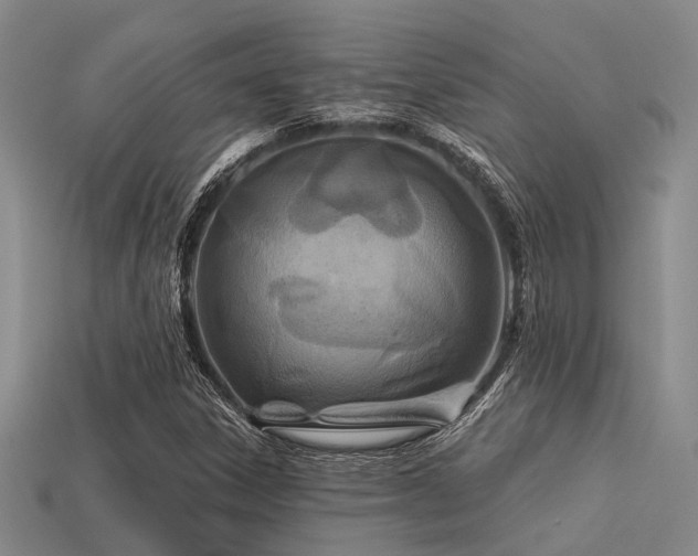 X0000113611306200909181411
