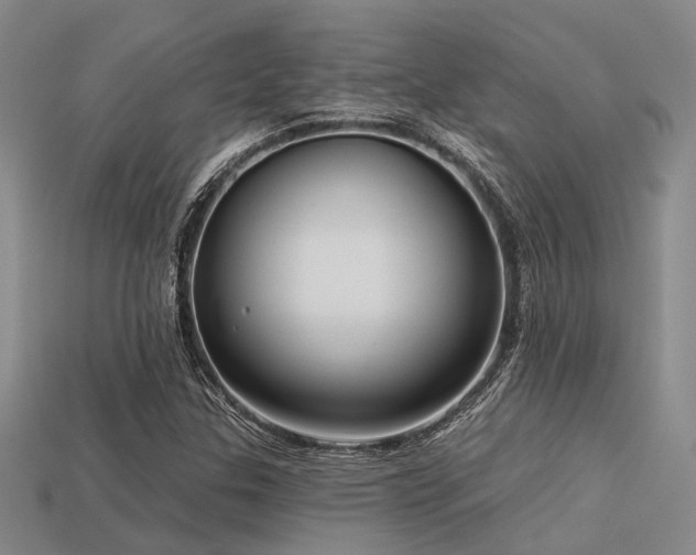 X0000113611307200909181411