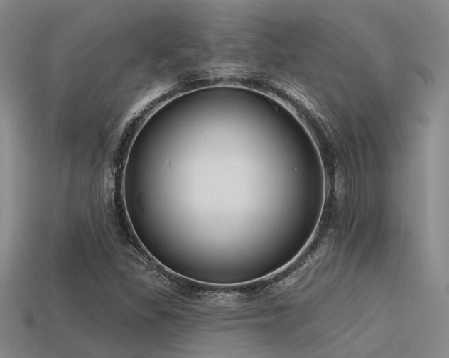X0000113611309200909181411