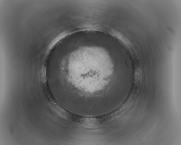 X0000113611310200909181411
