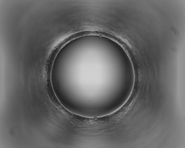 X0000113611311200909181411