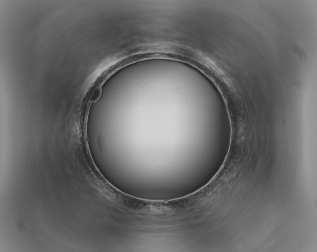 X0000113611312200909181411