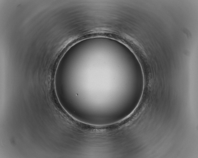 X0000113611313200909181411