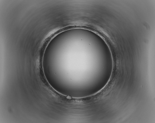 X0000113611315200909181411