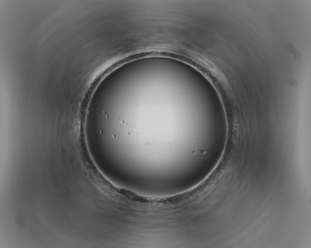 X0000113611316200909181411