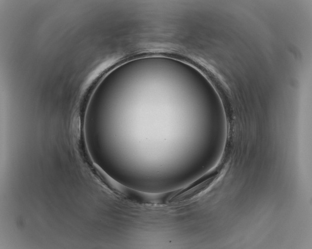 X0000113611317200909181411