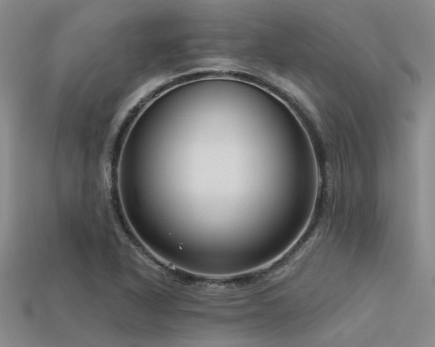 X0000113611318200909181411