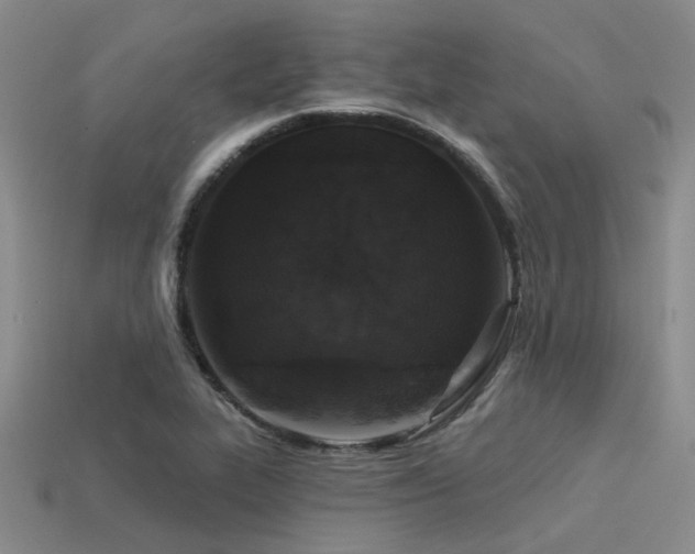 X0000113611319200909181411