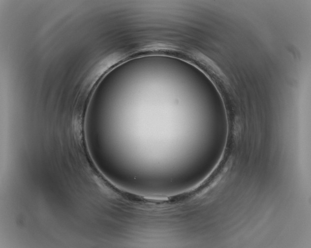 X0000113611321200909181411