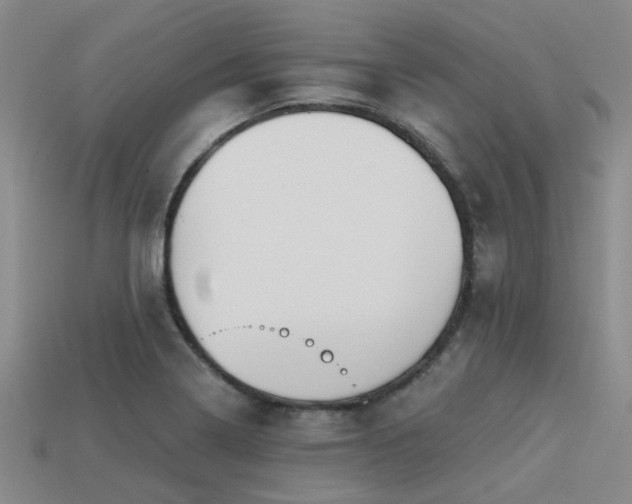 X0000113611322200909181411