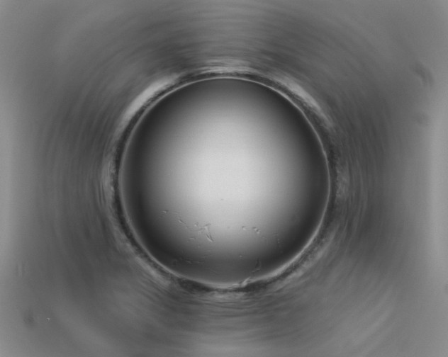 X0000113611325200909181411