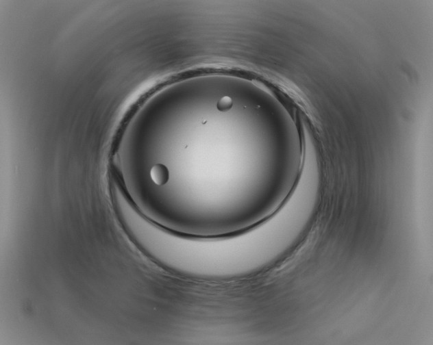X0000113611326200909181411