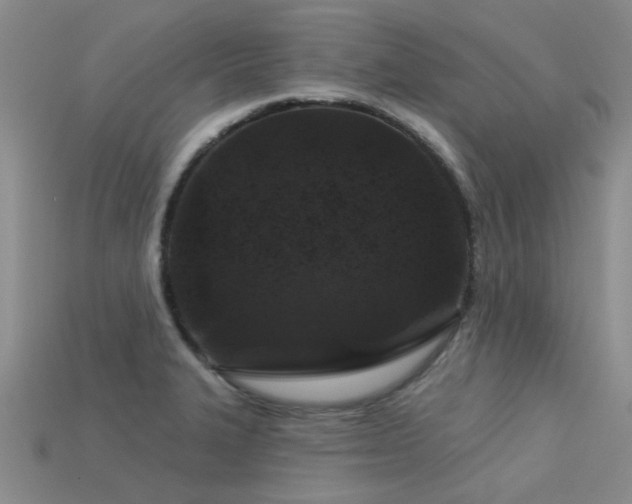 X0000113611327200909181411