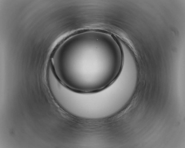 X0000113611328200909181411