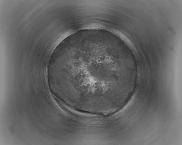 X0000113611329200909181411