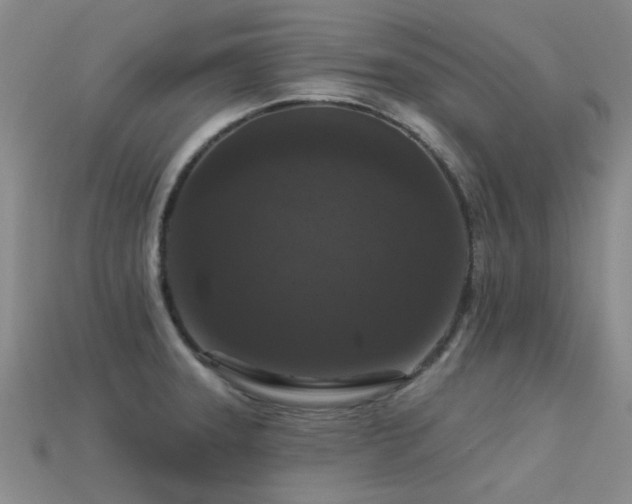 X0000113611331200909181411