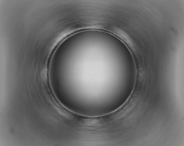 X0000113611332200909181411
