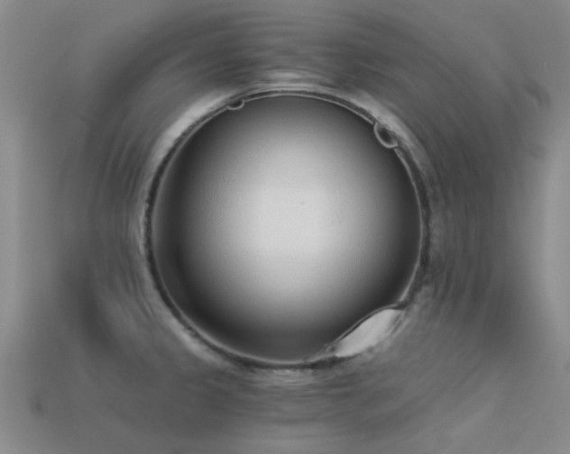 X0000113611333200909181411