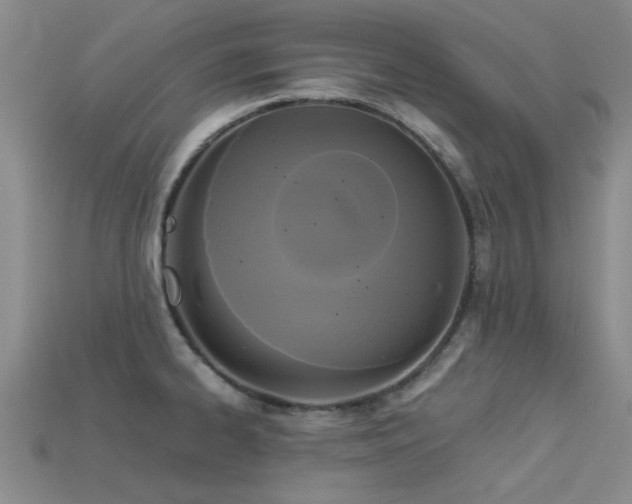 X0000113611334200909181411