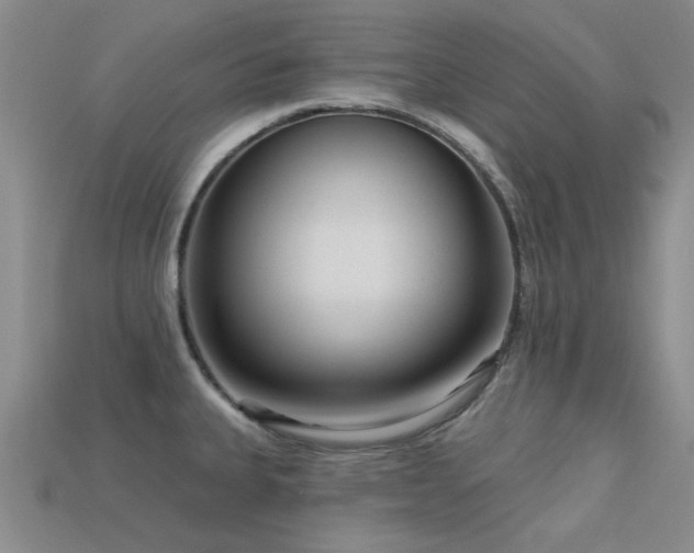 X0000113611335200909181411